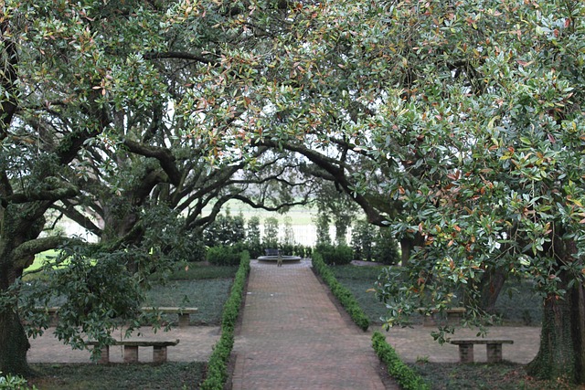 Free Louisiana Garden photo and picture