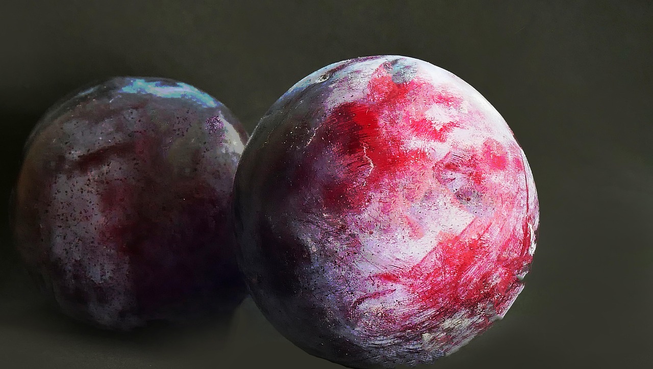 Plums - free online jigsaw puzzle photo