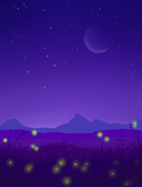 Free Moon Night illustration and picture