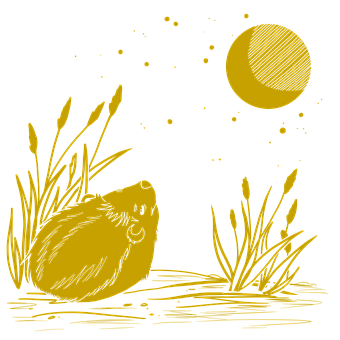 Free Hedgehog Grass illustration and picture