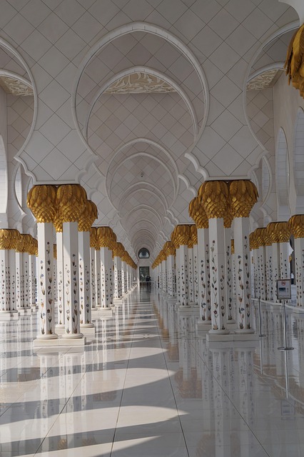 Free Mosque Sheikh Zayed photo and picture
