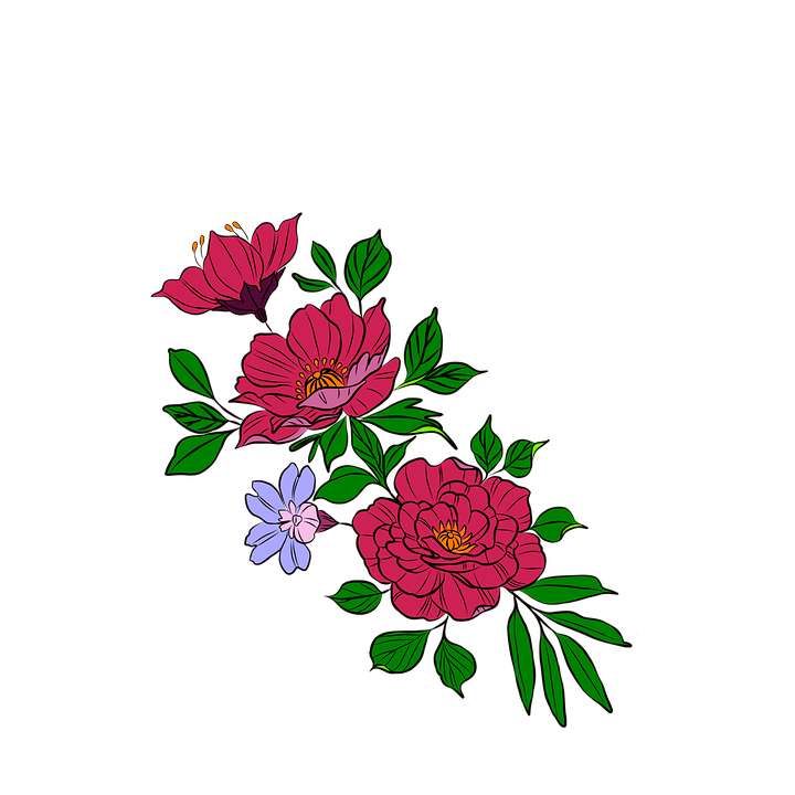 Flowers Bloom Blossom Free image on Pixabay