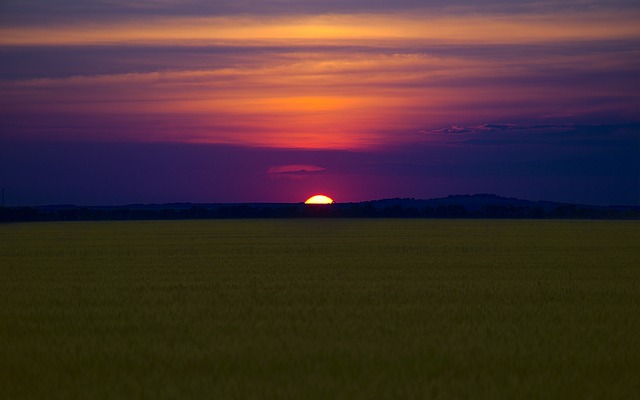 Free Sunset Field photo and picture