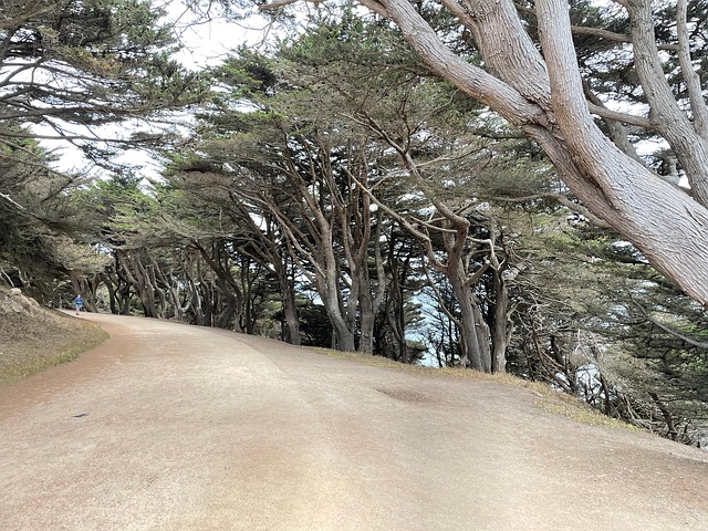 Free San Francisco California photo and picture