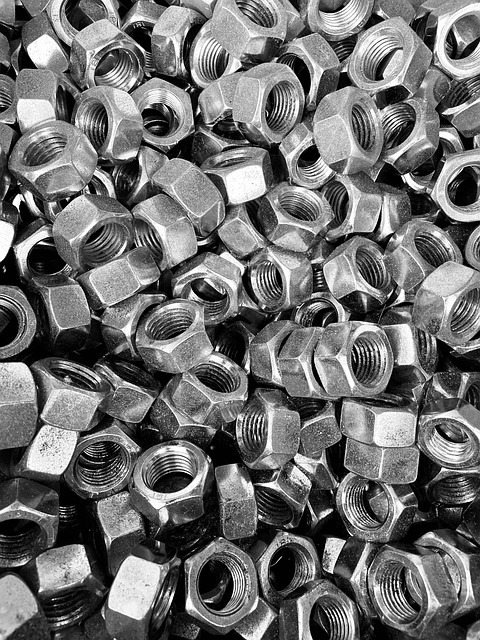 Free Nut Screw photo and picture