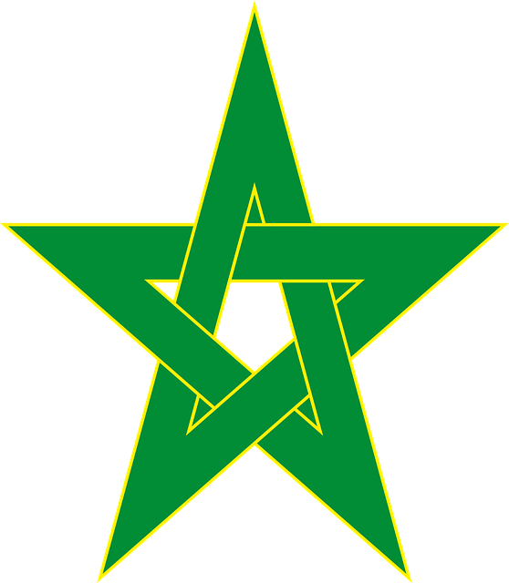 Free star shape symbol vector