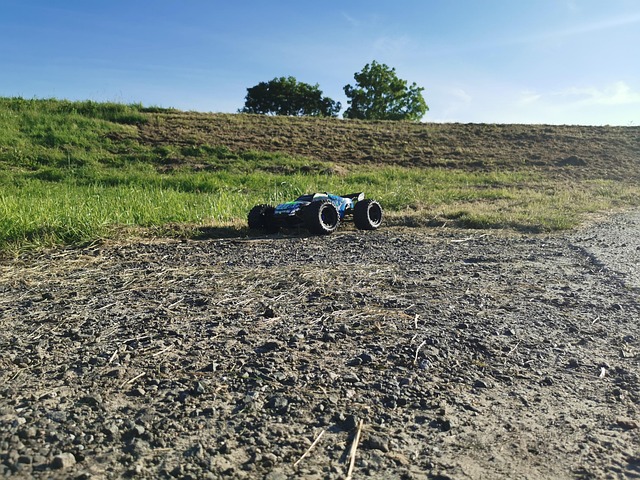 Rc-Auto, Rc-Car, Traxxas, Erevo, Offroad
