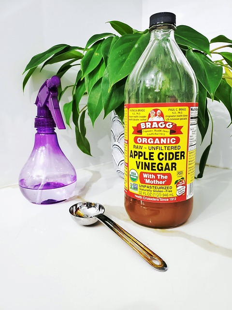 Beste Apfelessig-Pille, Apfelwein, Essig