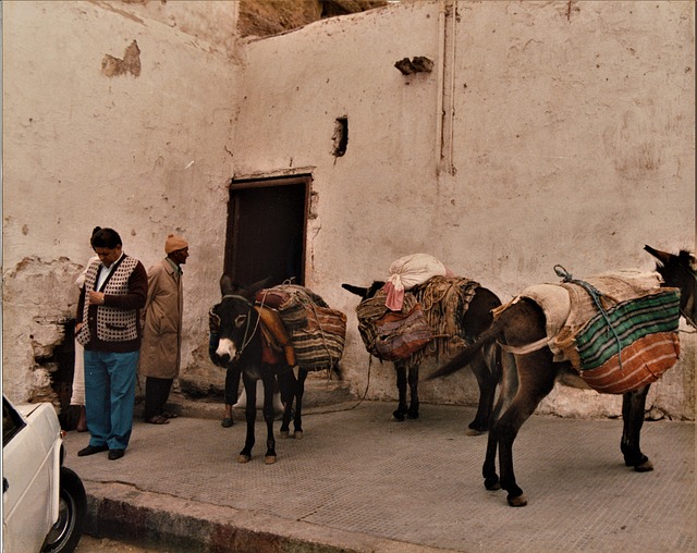 Free Morocco Casbah photo and picture