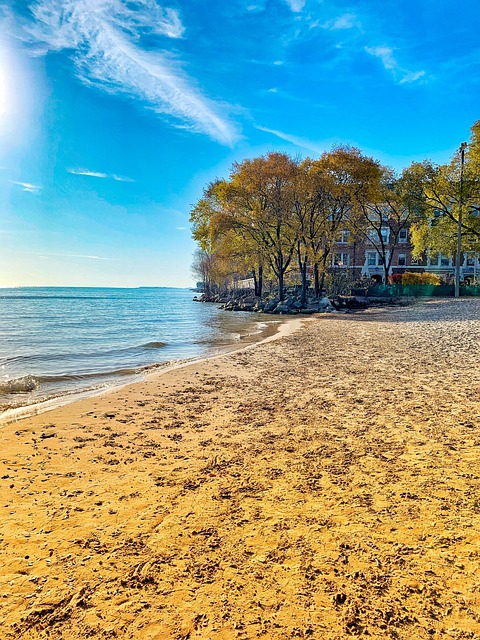 Free Chicago Beach photo and picture