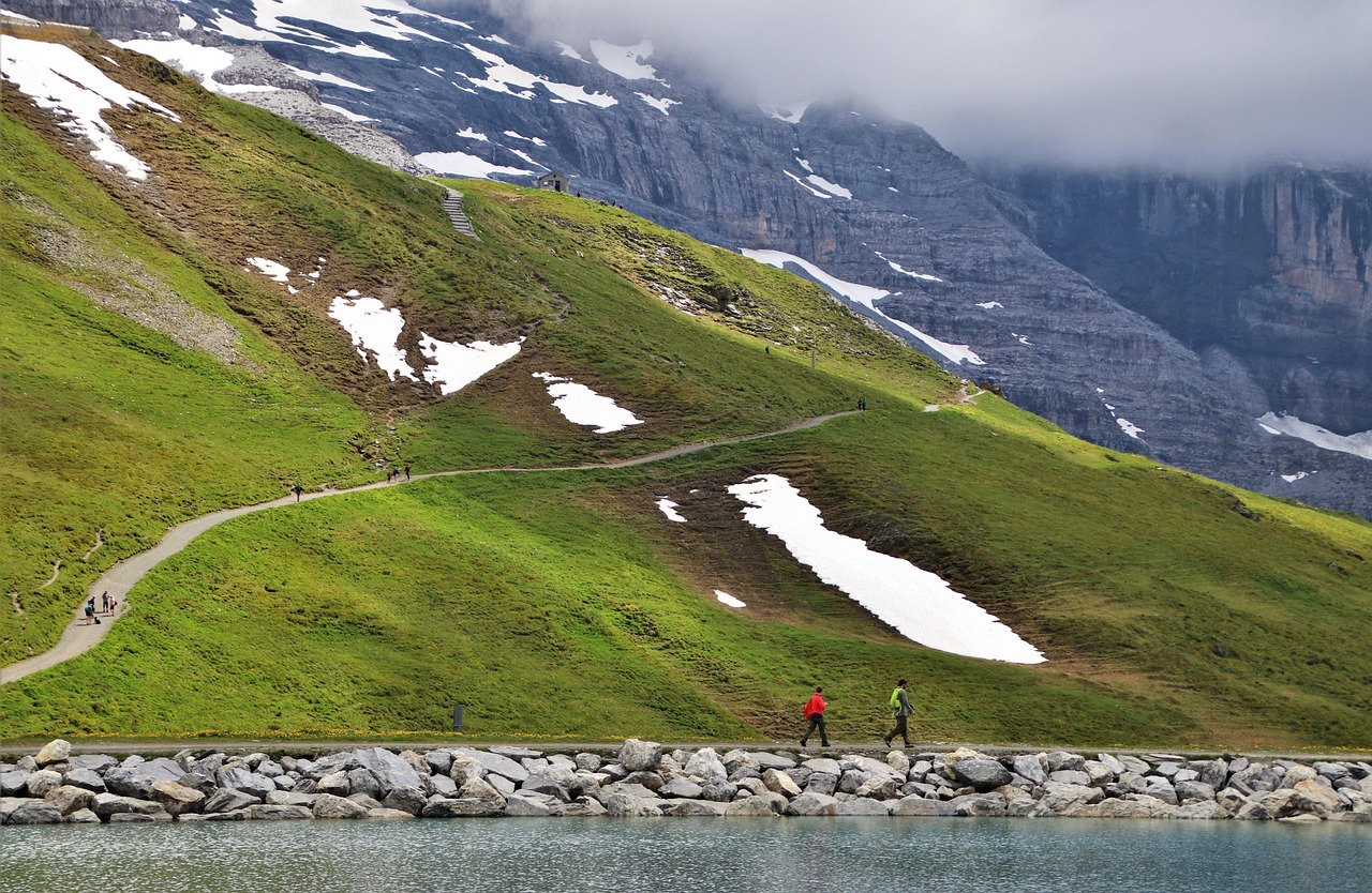 900+ Free Lake Path & Nature Photos - Pixabay