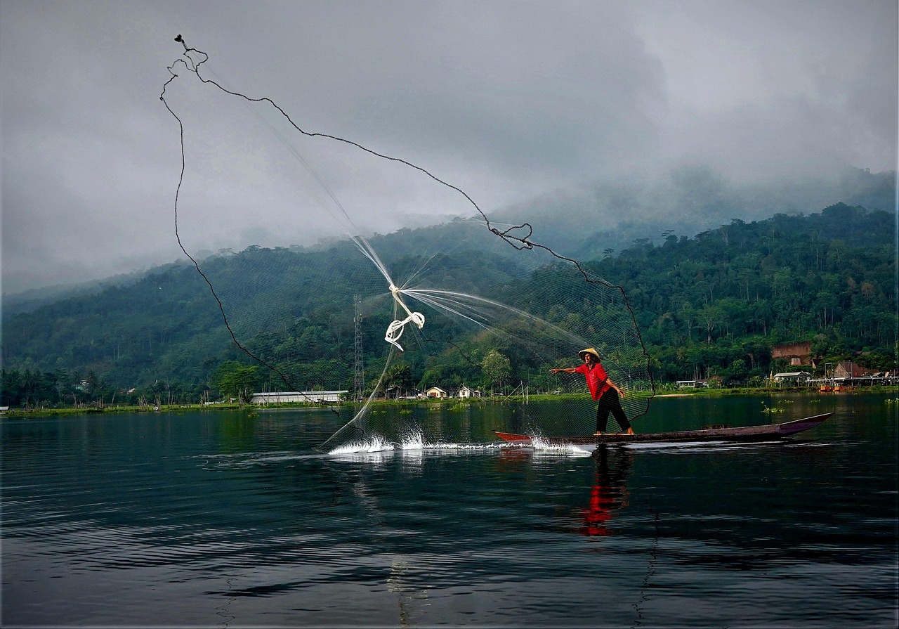 Catching Fish Fisherman Fishnet - Free photo on Pixabay