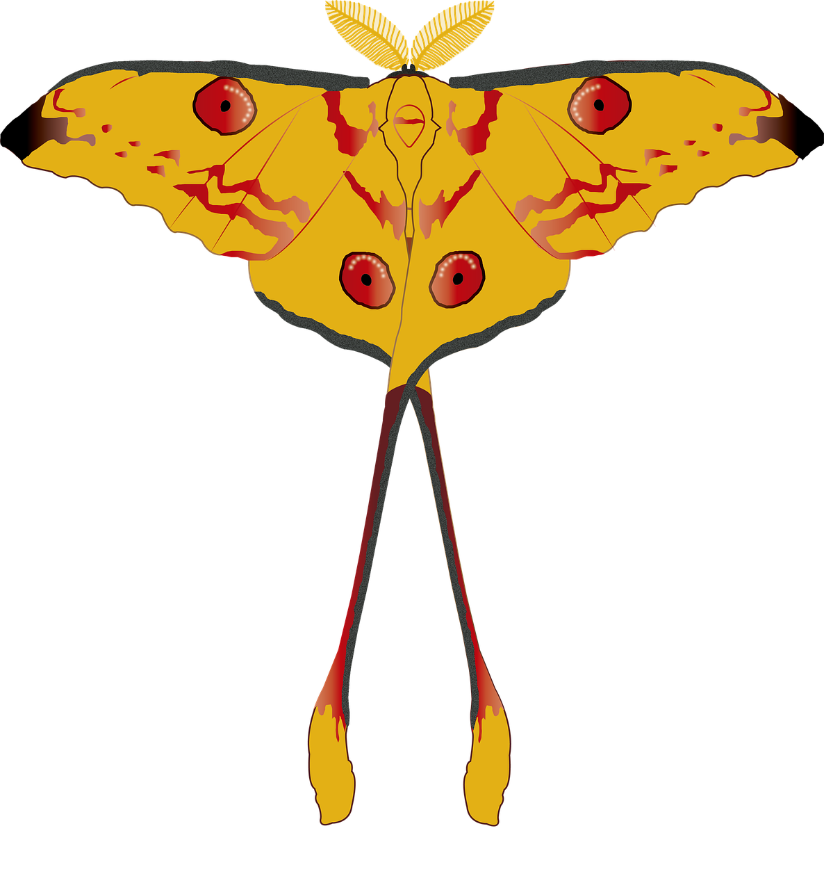 Download Moth Insect Winged Insect Royalty Free Stock Illustration download-moth-insect-winged-insect-royalty-free-stock-illustration