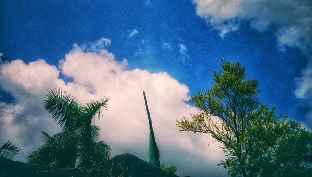 Free Nature Blue photo and picture