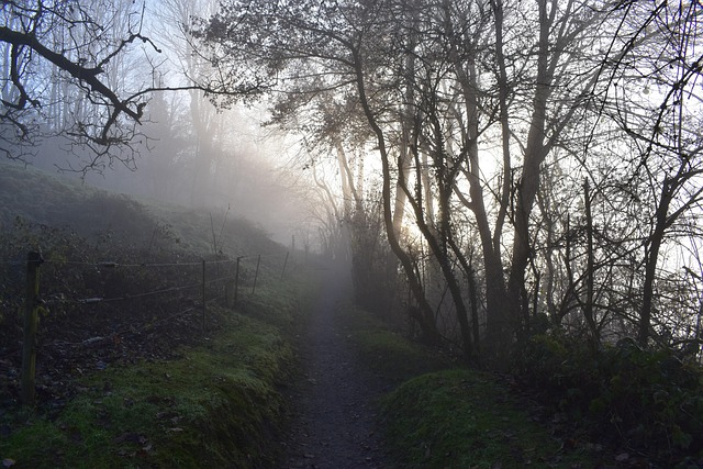 Free Path Switzerland photo and picture