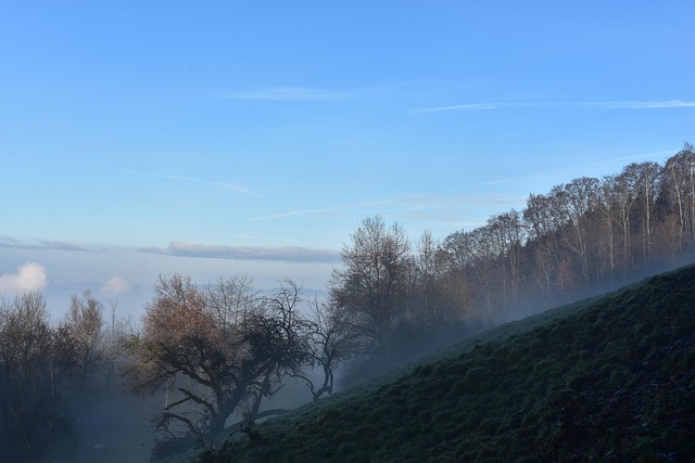 Free Fog Switzerland photo and picture