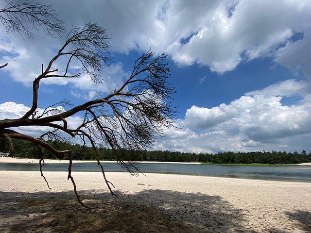 Free Lake Recreation photo and picture