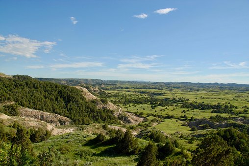Bakker, Bjerge, Træer, Skov, Badlands