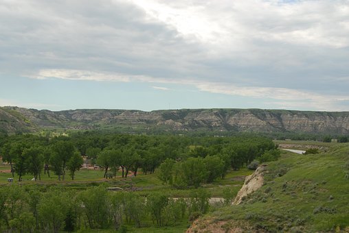 Bakker, Bjerge, Træer, Skov, Badlands