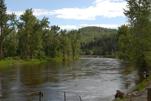 Flod, Bæk, Skov, Naturskøn, Natur