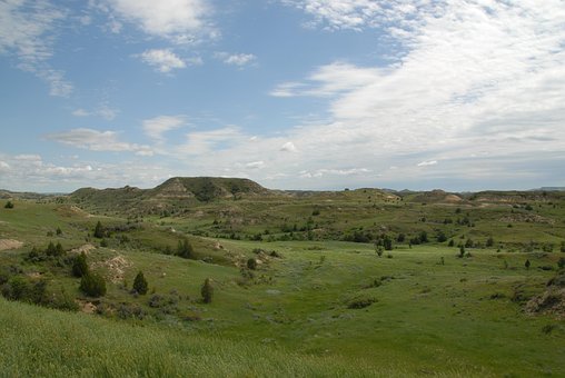Dal, Bakker, Græsarealer, Buttes