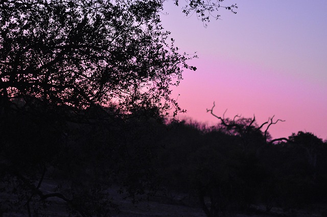 Free Sunset Kruger National Park photo and picture