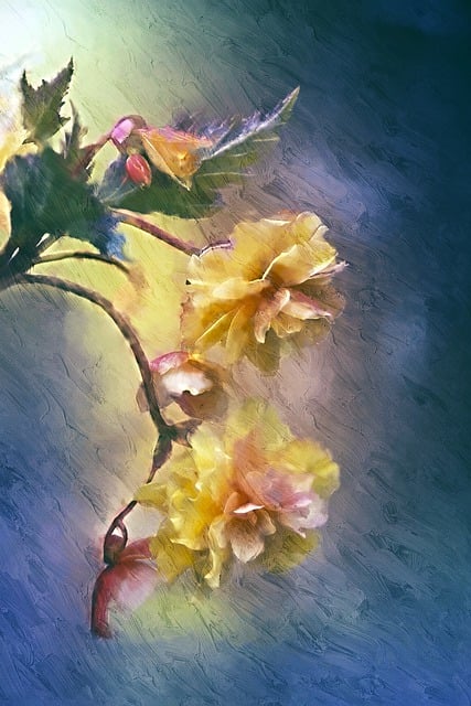 Bloemen, Gele Bloemen, Bloemblaadjes