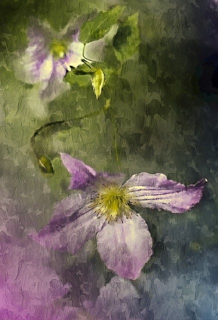 Blomst, Plante, Creeper, Natur, Sommer