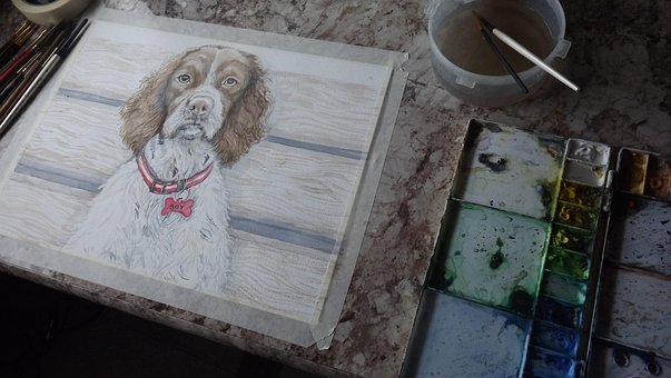 Free Dog Pet photo and picture