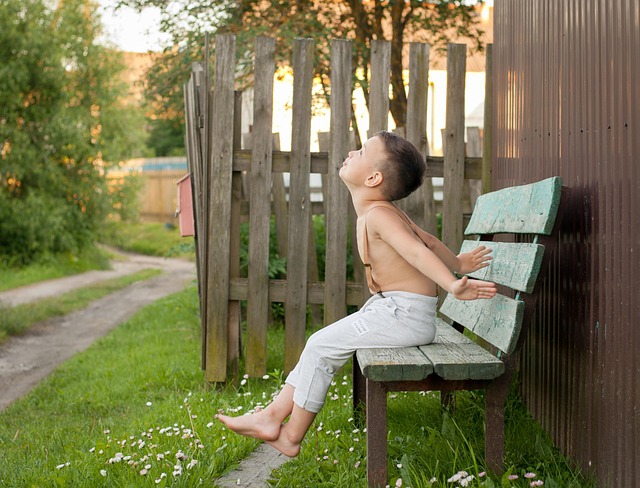 Free Summer Village photo and picture