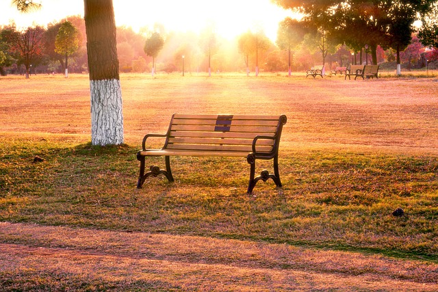 Free Autumn Park photo and picture