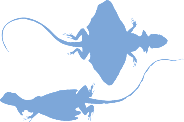 Free flying lizard lizards silhouette vector