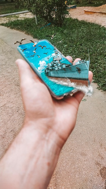 Schiff, Smartphone, Vögel, Die Natur