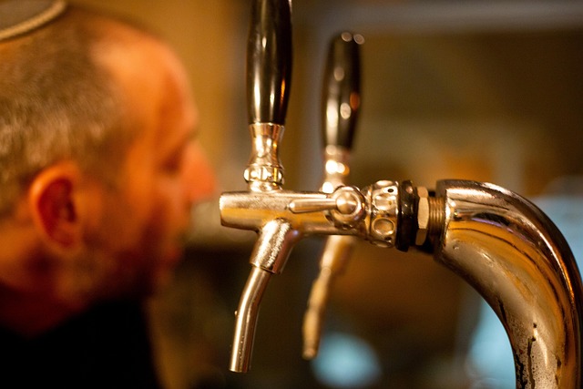 Free Bartender Bar photo and picture