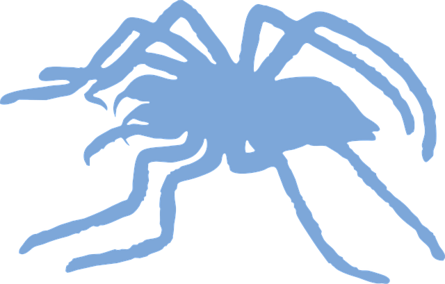 Tarantel, Edderkop, Arachnid, Dyr, Natur