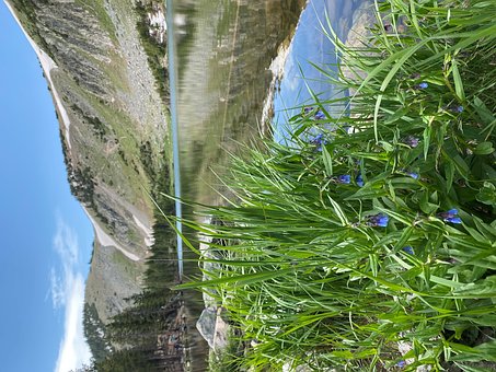 Free Goose Lake New Mexico photo and picture