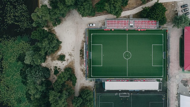 Free Football Football Field photo and picture