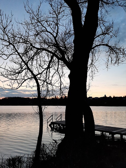 Free Lake Web photo and picture