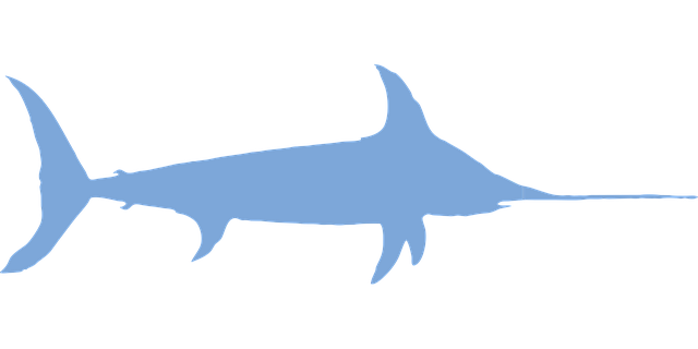 Free marlin fish animal illustration