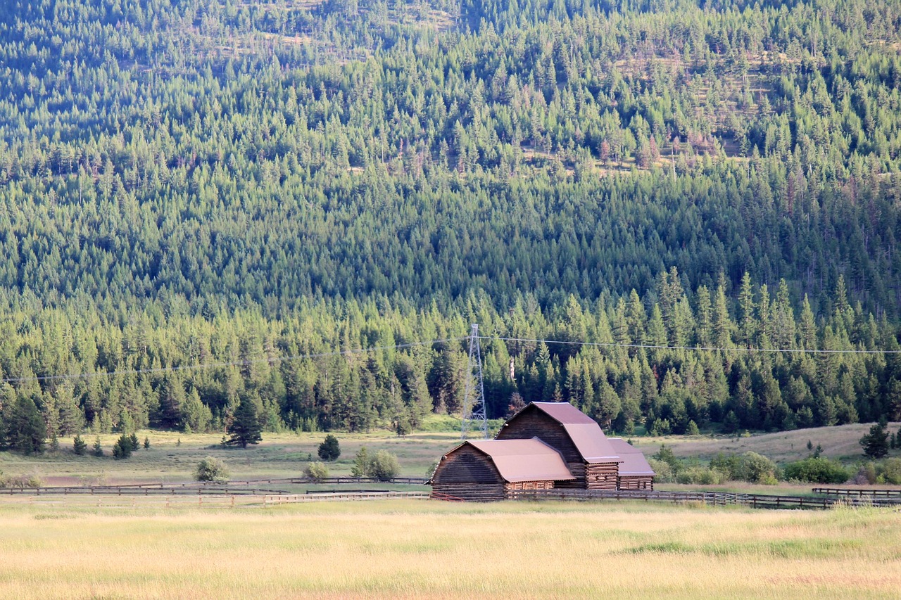 Barn - free online jigsaw puzzle photo