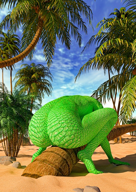 Free Lizard Reptile photo and picture