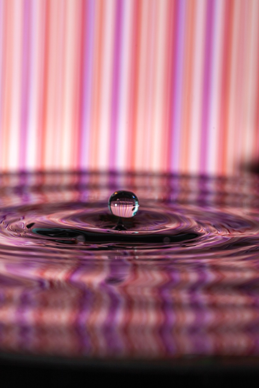 20+ Free Capillaries & Nature Images - Pixabay