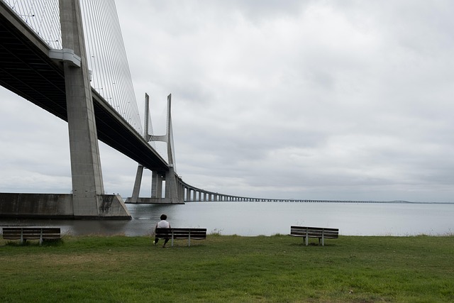Vasco-Da-Gama-Brücke, Brücke, Fluss