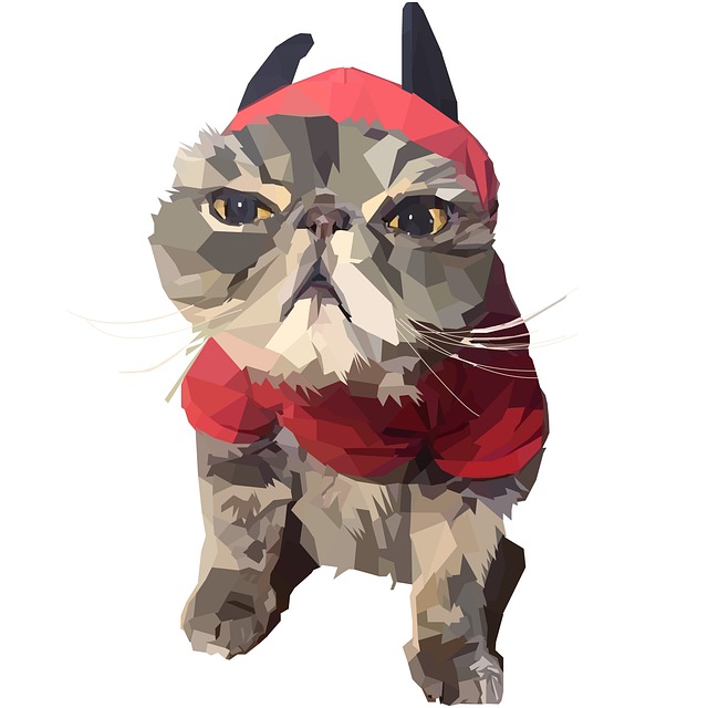 Kat, Kæledyr, Dyr, Portræt, Feline, Sød