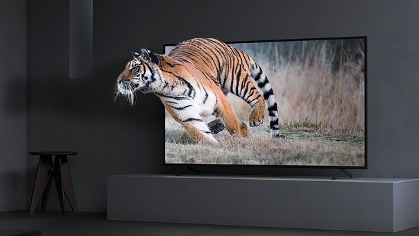 Manipulação, Photoshop, Televisão, Tigre