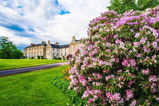 Free Hirsel House Park photo and picture