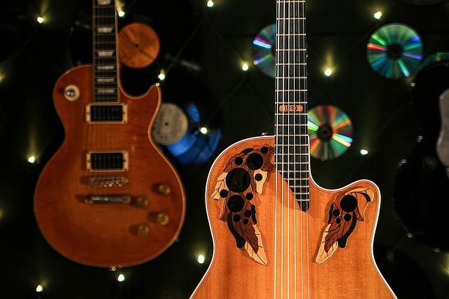 Gitarren-Staubschutz – Wasserdicht, Transparent, Für Gitarre & Bass, 108.6x43.5 Cm