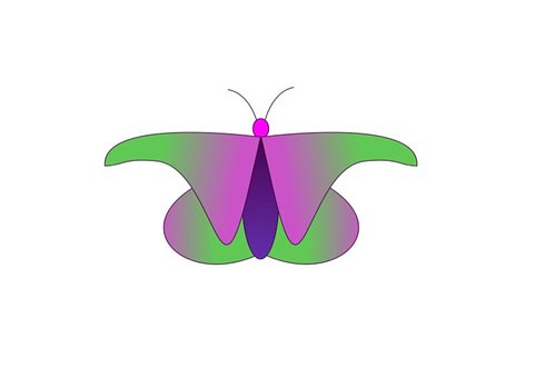 Free Butterfly Insect photo and picture