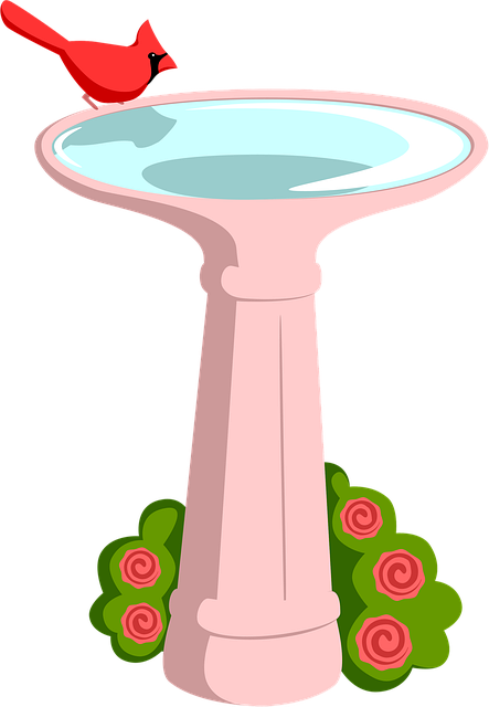 Free bird bath garden illustration