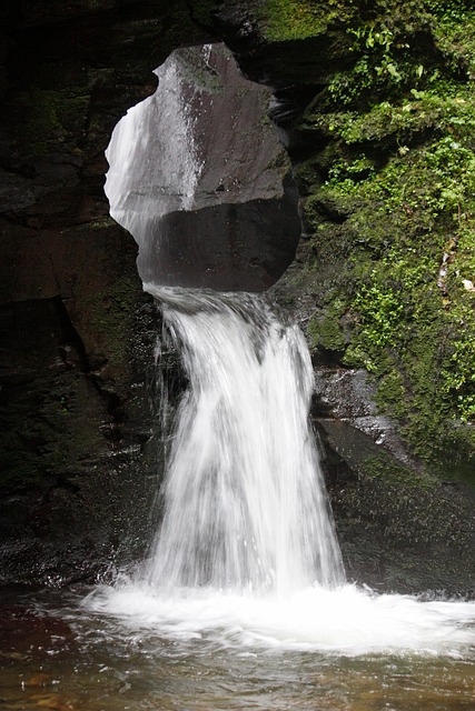 Free Waterfall Water Fall photo and picture